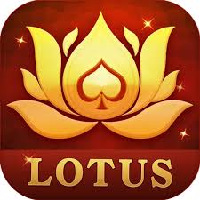 teen patti kiya download